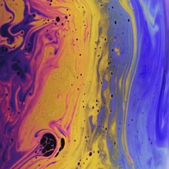 Meet your Posher, Rachel - Picture 1 of 1